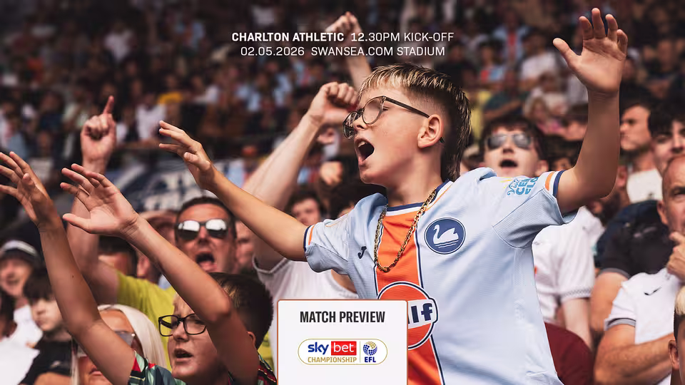Foto: www.swanseacity.com